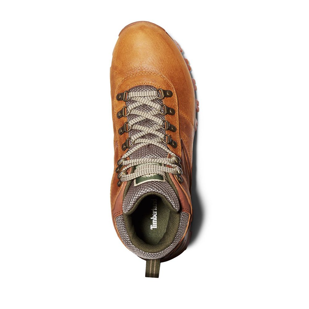 Botas de Montaña Timberland Argentina Hombre - Mt. Maddsen Mid Waterproof - Marrones - DZJKHM-138